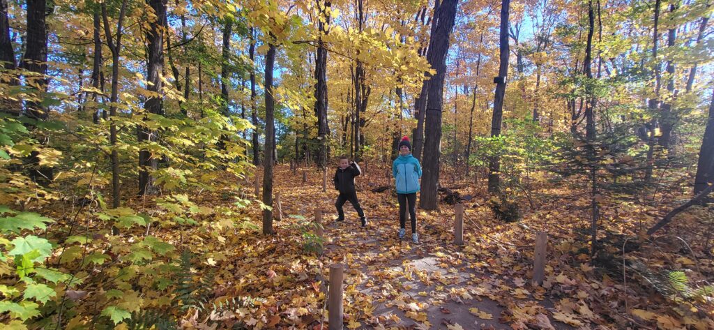 MONTREAL : lieux incontournables.