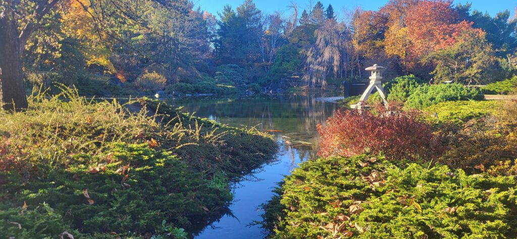 MONTREAL : lieux incontournables.