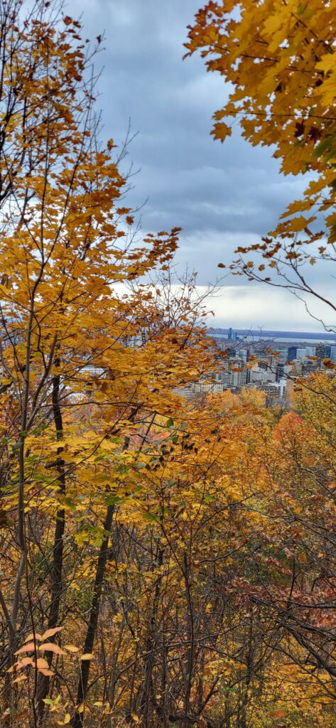 MONTREAL : lieux incontournables.