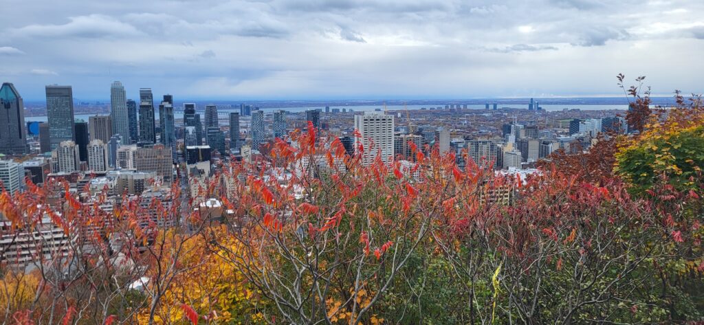 MONTREAL : lieux incontournables.