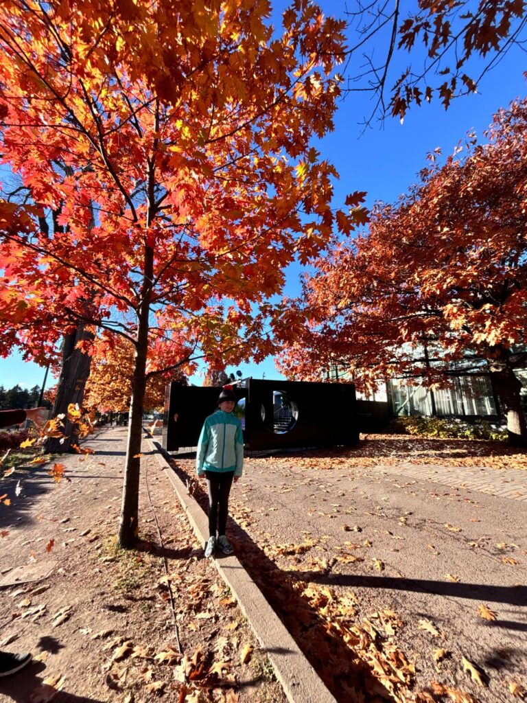 MONTREAL : lieux incontournables.